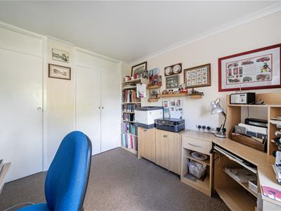 Picture 15